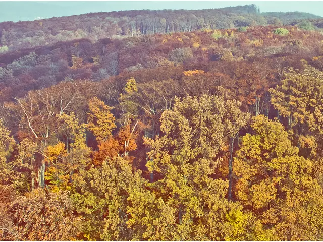 Lessen Global Warming: 6 Strategies for Lowering Your Carbon Footprint