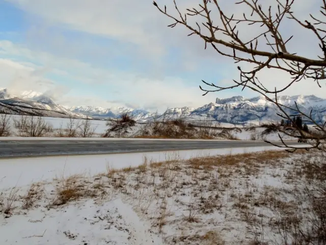 Ruthless Murder of Russian Tourist in Georgia Results in 18-Year Imprisonment for Perpetrators