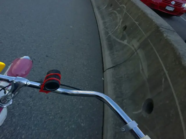 Renault Group's Employee Shareholding Plan Overview for 2024: Strong Expansion Ahead