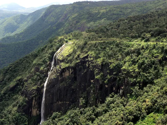 Three hikers who plummeted from a Canadian waterfall are presumed to have perished, according to...