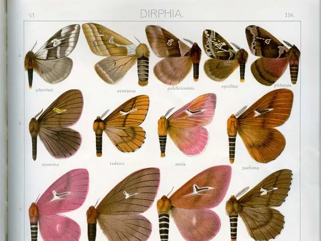 Goldman Sachs profit boost through intricate butterfly stock option strategy