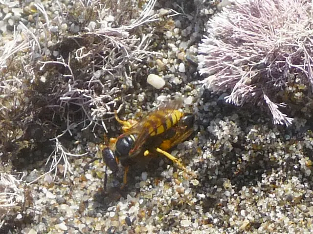 Regulations and Responsibilities for U.S. Drone Operators in Terms of Insurance and Legal...