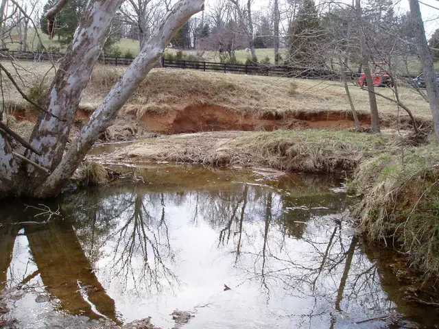 Disorderly parking and roaming campers stir up issues at a well-attended lake for swimming
