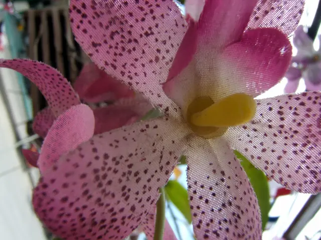 Floral enthusiasts, learn how to beautifully integrate floral designs into your home's wallpaper...