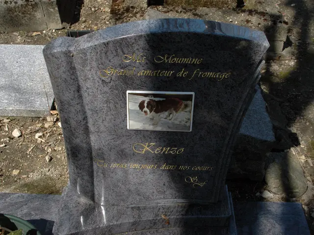 Display of atrocities in the realm of "euthanasia" transgressions