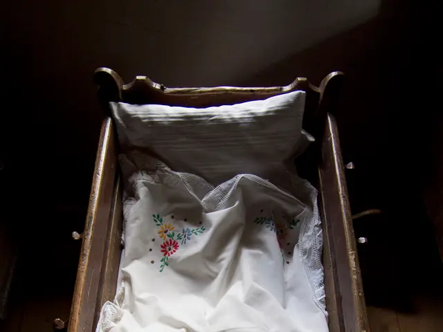 Top-notch garden swings perfect for outdoor relaxation