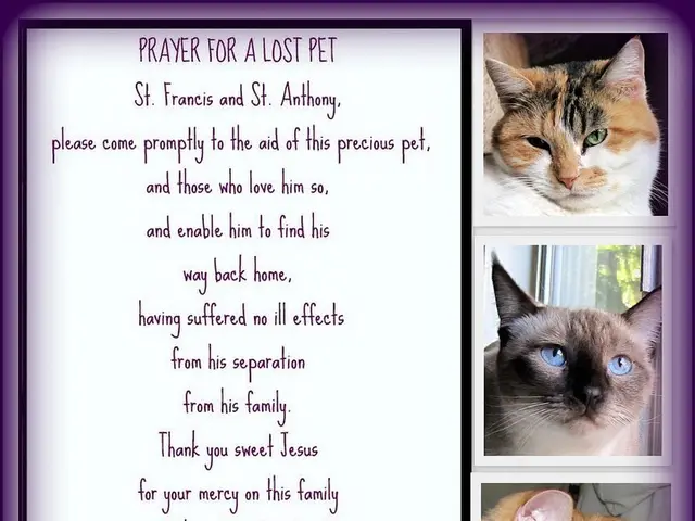 Humorous Cat and Dog Posts Highlighted for the Week of Aug. 30 - Sept. 5