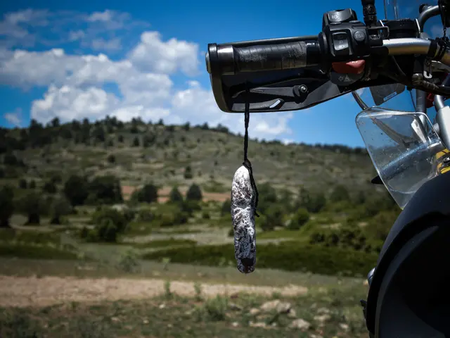 Accident on A4 highway: One individual sustains critical injuries as a vehicle crashes