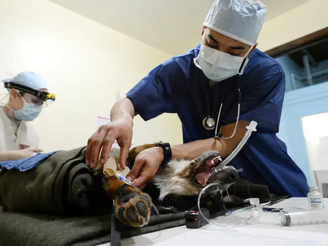 Treatment with medication for PFAS contamination initiated by the government this year confirmed