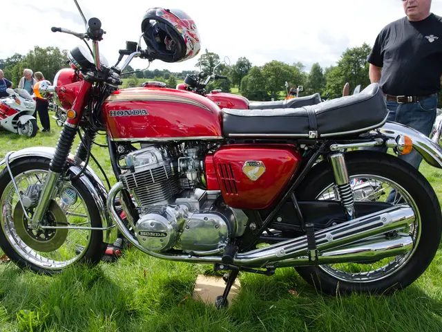 Thirty-five individuals gather to film an episode of "The Fallers" in the vineyards of...