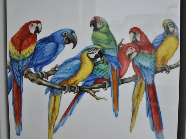 Medal for Gymnasium Bayreuther Straße (in bronze)