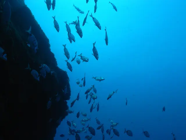 Incredible aquatic specimen is among the marvels of AlUla's barren landscapes