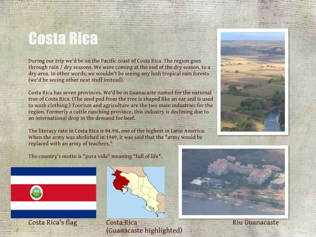 Applying for Costa Rica's Digital Nomad Visa: A 4-Step Guide