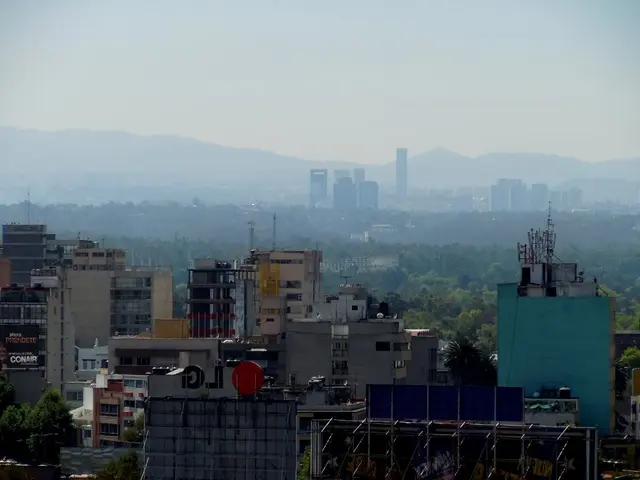 Capitalist Class (Bourgeoisie): Explanation & Significance