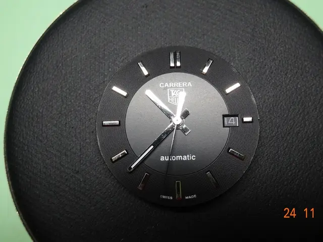 Time Travelers Disappeared in 3025: An Authentic Puzzle for Scientists to Solve