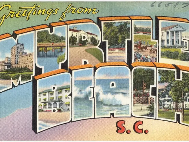 Artistic Soirée with Sea Otter Themed Painting Event