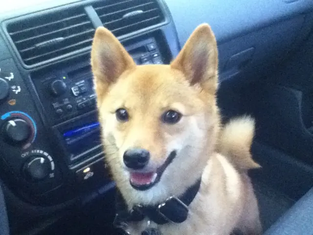 Tesla Model Y 2026 Service Visit Turned Disappointing as Staff Claimed to Address Seat Noise Issue...