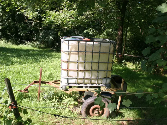 Priority goals for oil and gas, along with offshore carbon storage, detailed by the White House