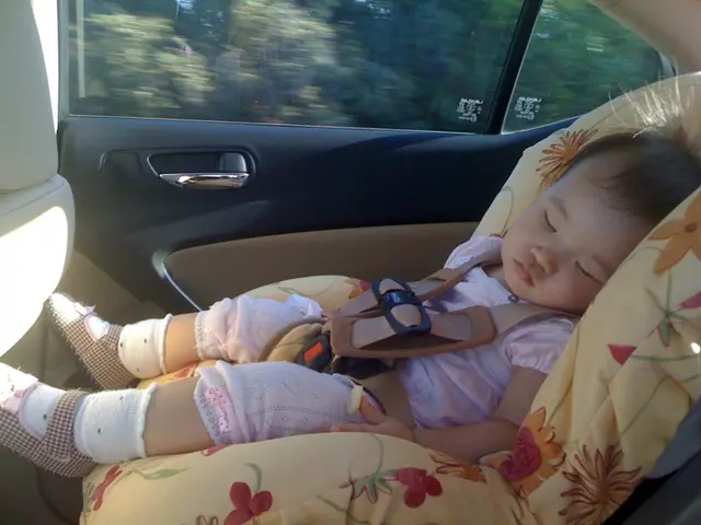 Provided data for computational purposes: