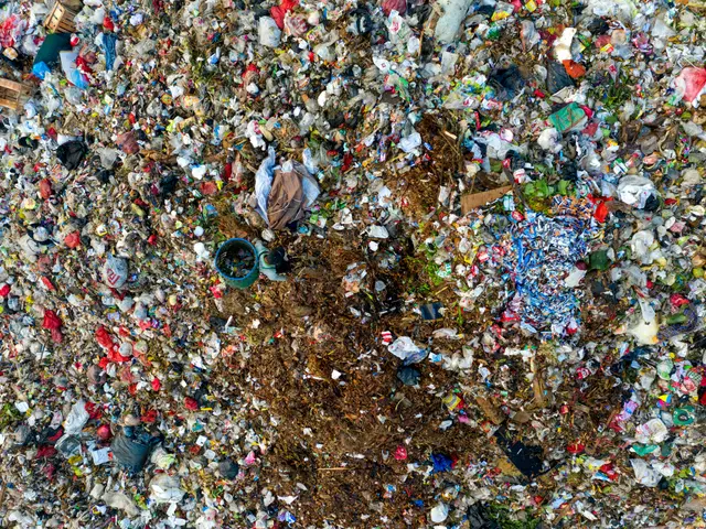 Worn garments yielding losses: profitability evades used clothing collection businesses