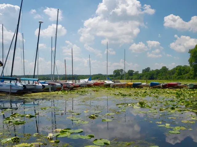 HBO has definitively decided on the French hotel for The White Lotus season 4, and there's no room...
