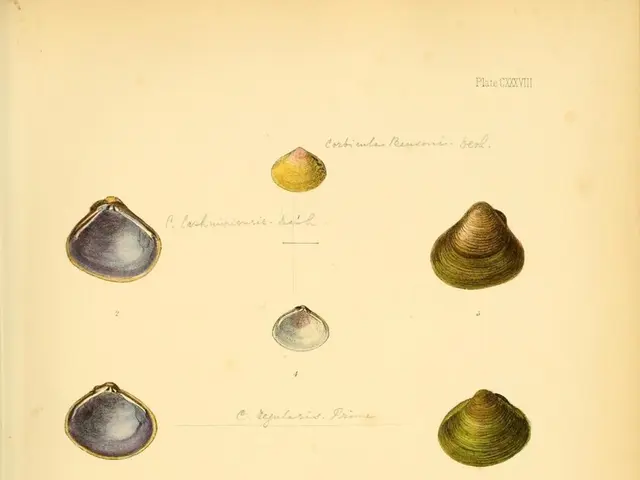 Completing Silksong may require an extra 10 hours for gamers to achieve 100%, surpassing the time...