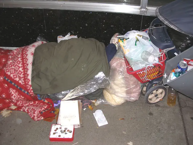 Law enforcement in Poland located a jewellery box and handbag in Wildeshausen.