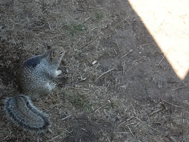 Key Data Points and Statistics