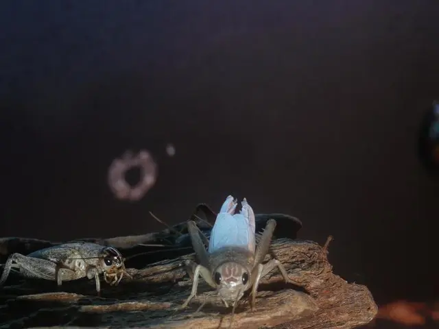 Hackers Capitalize on Critical SAP S/4HANA Flaw (CVE-2025-42957)