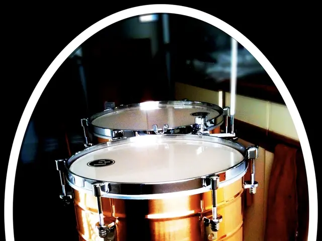 Chaotic Outbursts by Bela: "A harsh and sometimes unsettling auditory experience"