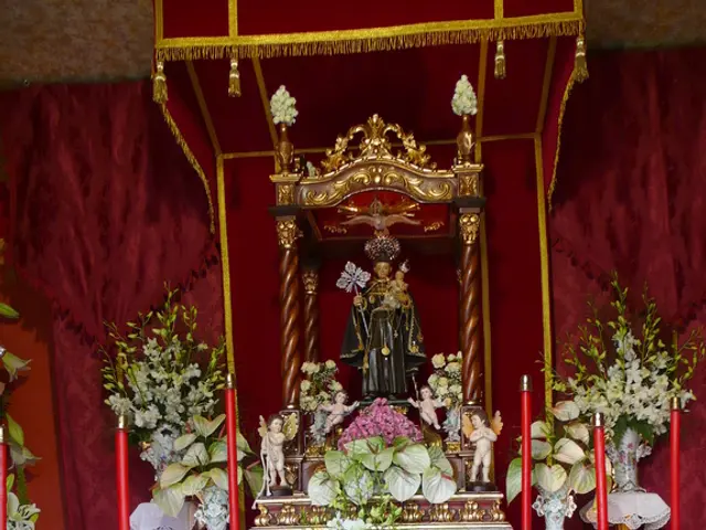 Blooms Confront Vessel