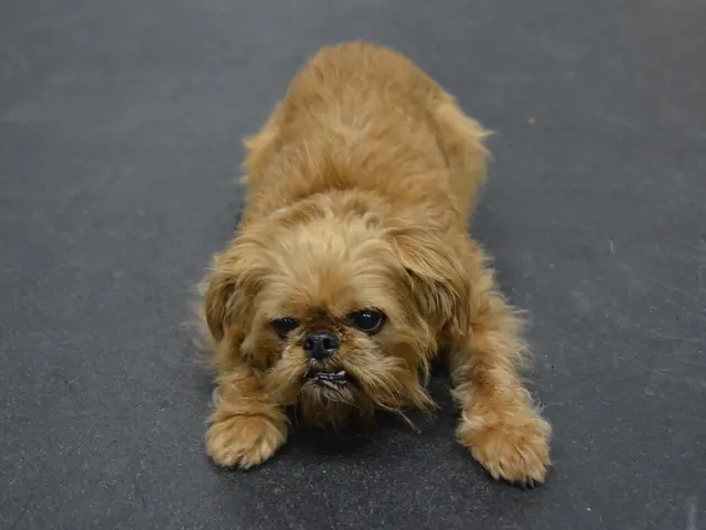 Law enforcement agencies are seeking individuals who may have observed an incident.