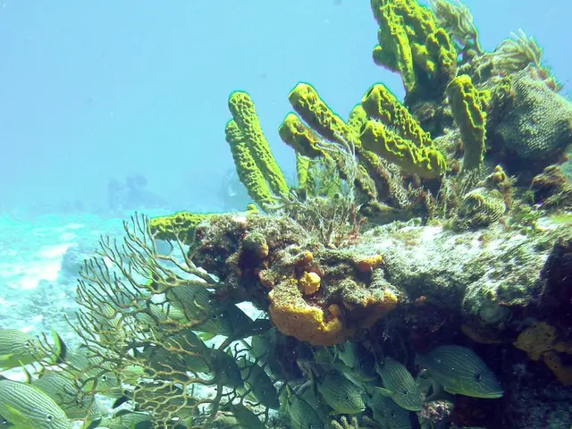 Microsoft's Azure services encounter setbacks due to disruptions in Red Sea underwater...