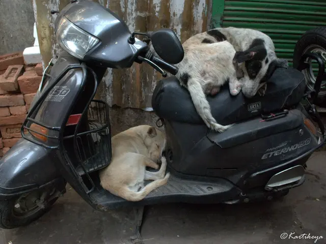 Authorities Seek Public Testimonies