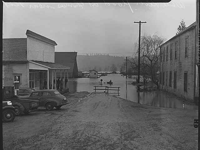 Indoor cultivation sites discovered by the Hildesheim prosecutor's office and police authorities