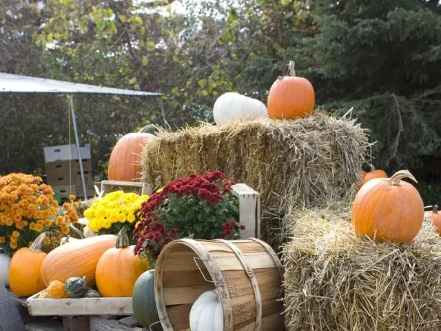 Whimsical Pumpkin Decor with Unicorn Elements and Bat-Themed Adornments