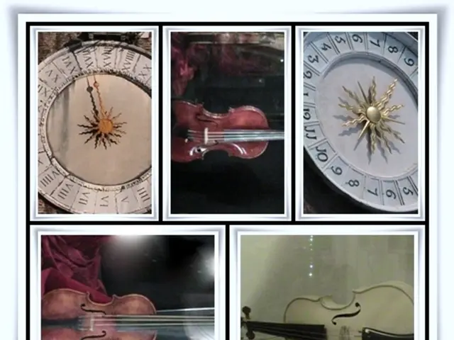 Rhythms at 7 and 8 Hz Frequencies