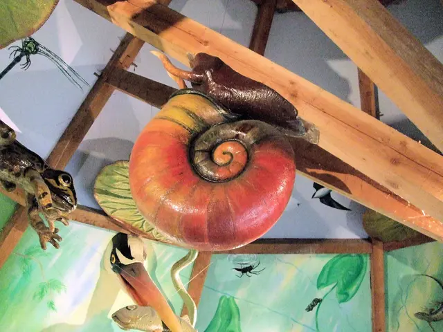 "Unbelievable! - Remarkable Bars for Exclusive Items"