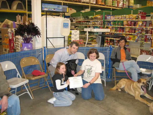 Latest News in Sweden Today: An overview of today's happenings in Sweden