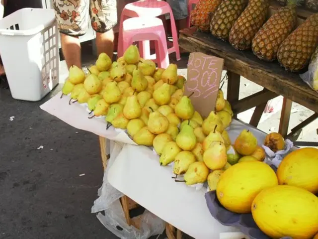 Approximately two thousand family units in Yakutia have been given land payments.