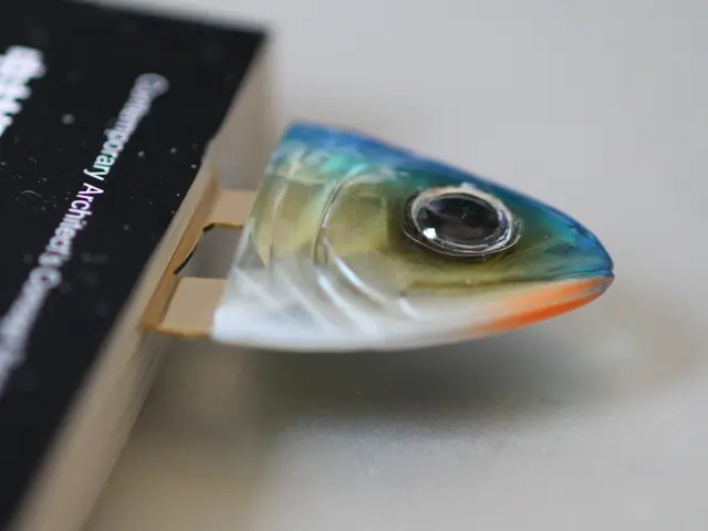 Nature-Inspired Designs: Exploring Five Revolutionary Concepts Known as Biomimicry