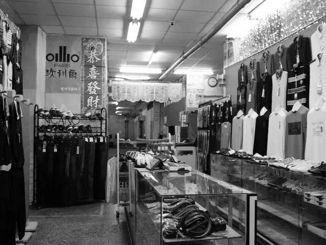 "Multimillion-Dollar Indian Fashion Market Conquered by Global Apparel Brands" or "Global Fashion...