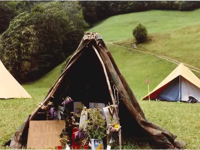 Seven Justified Motives for Buying a Temporary Canopy Structure