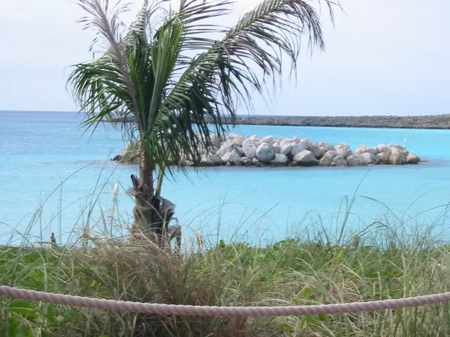 Environmental challenges in the Kyzylorda region were addressed by Majelysmen's intervention