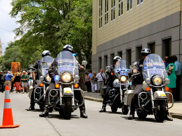 Authorities seek relevant insights