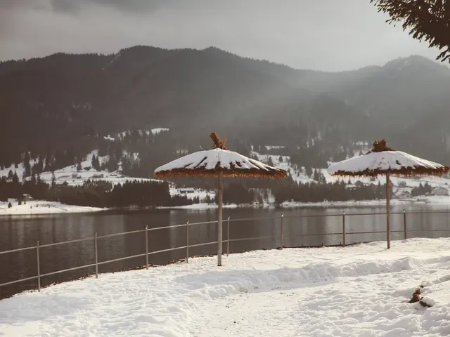 Forecast for Bahía Blanca on September 8th, 2025: What does the meteorological prediction reveal?