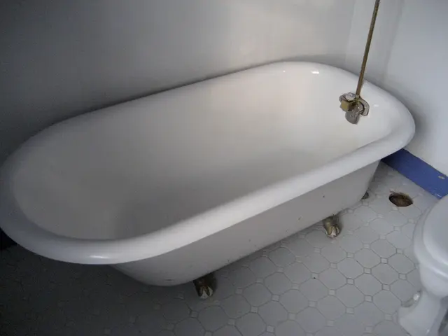 Discussion Among Various Political Parties in Bühlertal