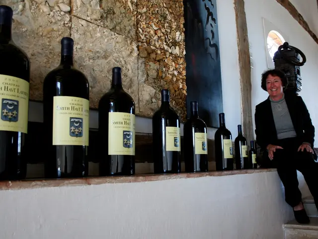 Infrared Saunas: Their Functions and Six Health Advantages