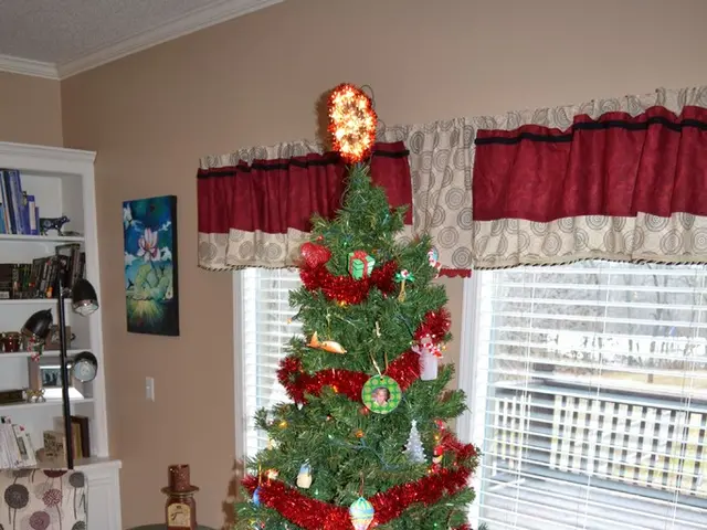 Ideas for a Merry Christmas-like Summer Celebration in Month of July