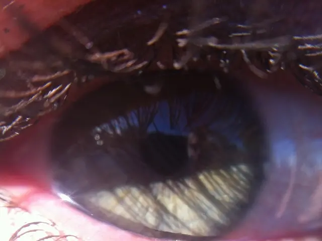 Switched to an Affordable Mascara Suggested by an Expert, Priced at Just $11